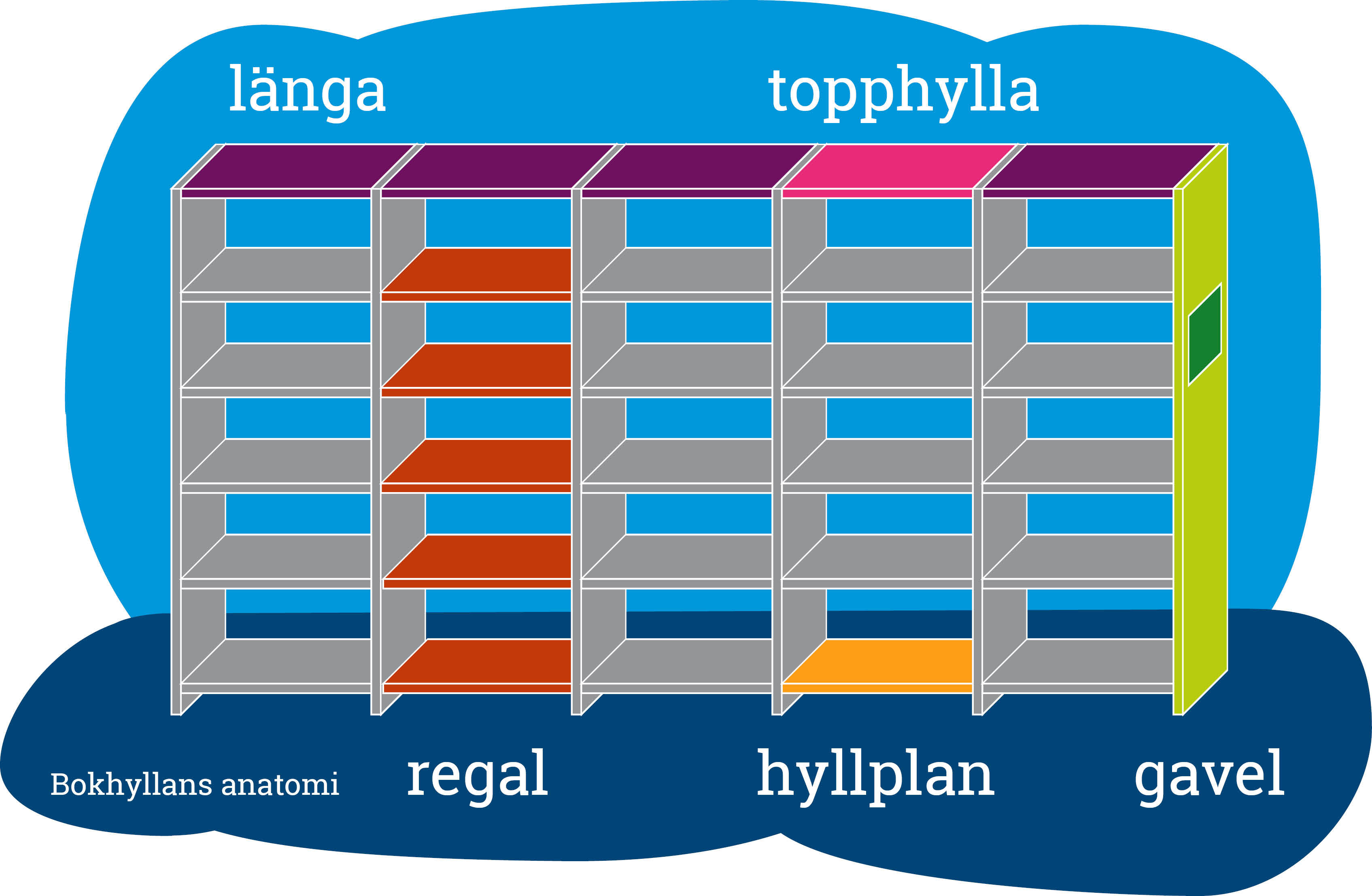 Bokhyllans anatomi. Ritning som visar olika delar av en hylla. Längan, markerad i lila, som är en enkelrad med hyllor. En topphylla, i rosa. Regaler, i rött, som är en lodrät rad av hyllplan. Ett hyllplan, i gult, som på bilden befinner sig underst i hyllan. Och en gavel, sidan på hyllan, som är grönmarkerad.